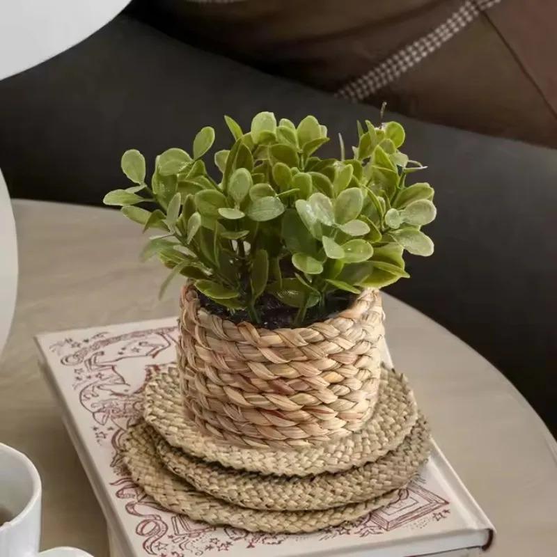 Home Office Layout - 1 Buah Tanaman Palsu Kecil dalam