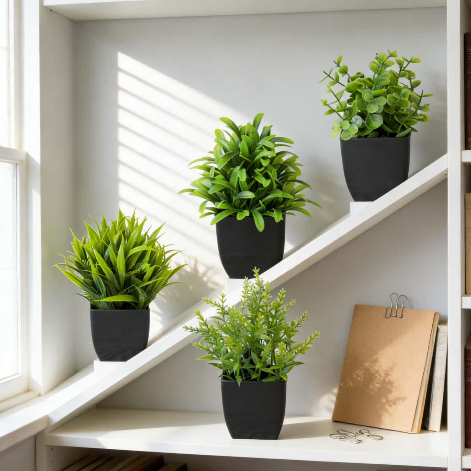 1 Buah Tanaman Eucalyptus Mini - Home Office Layout ulasan dan harga